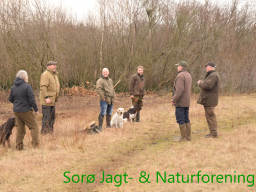Hundetræning forår 2017
